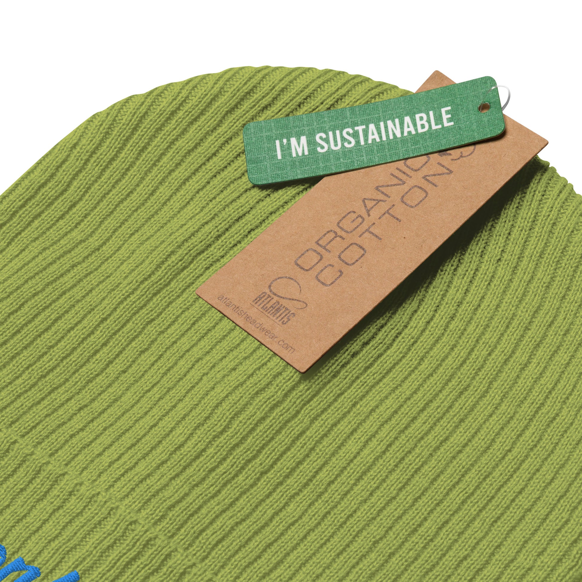 Lime Organic ribbed beanie by Monksee.