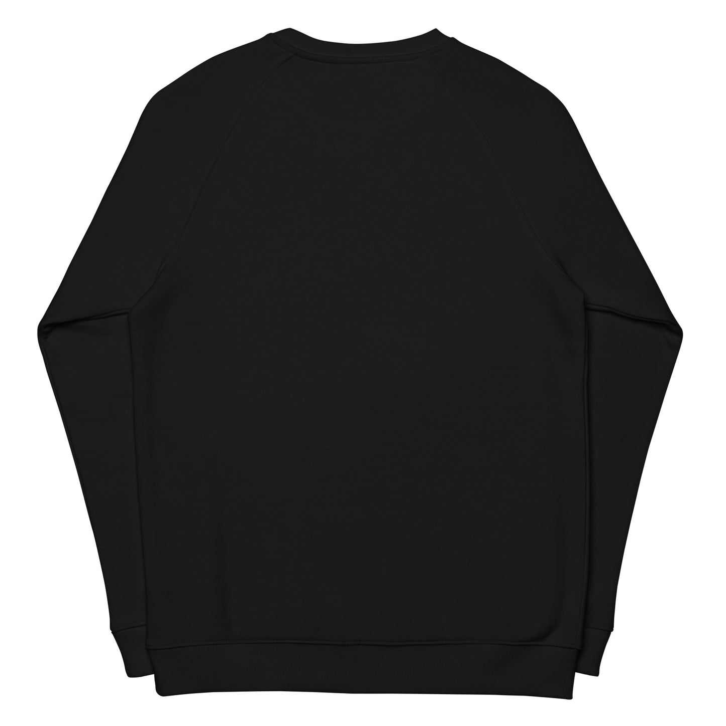 Baby Monksee organic raglan sweatshirt