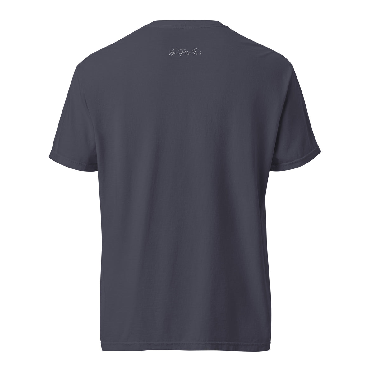 Monksee Testarossa garment-dyed t-shirt in navy, back view