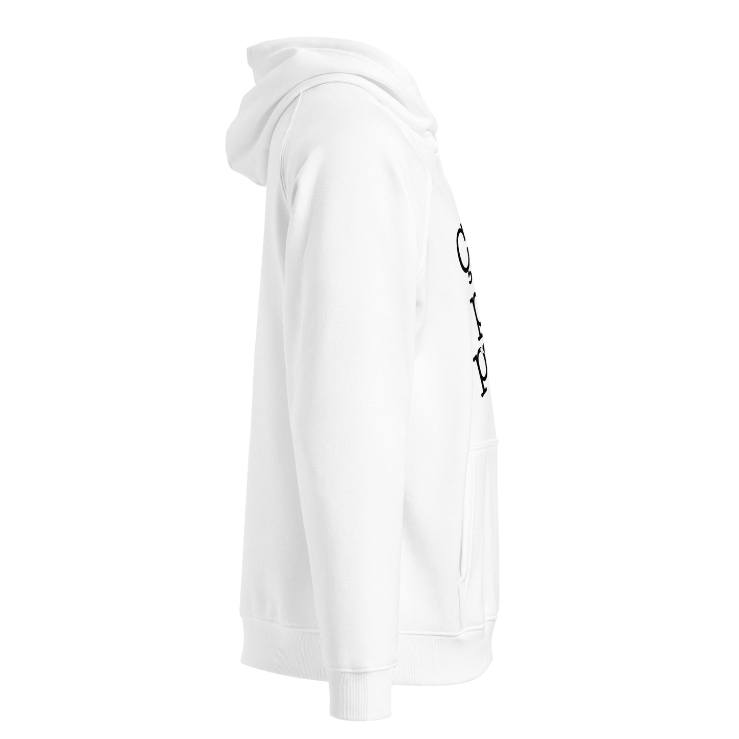 Ca Plane Pour Moi eco hoodie