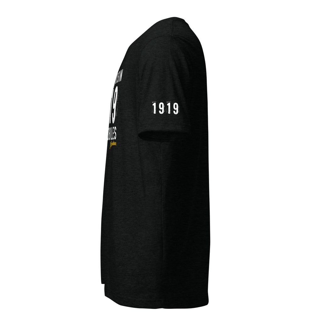 Avions Voisin Automobiles t-shirt.